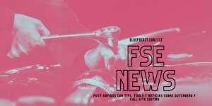 FSE-NEWS-THUMBNAIL-300x150 Página de inicio